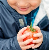 Zaujalo nás. Pravda o škodlivých kombináciách potravín (a ako jesť bezpečne)